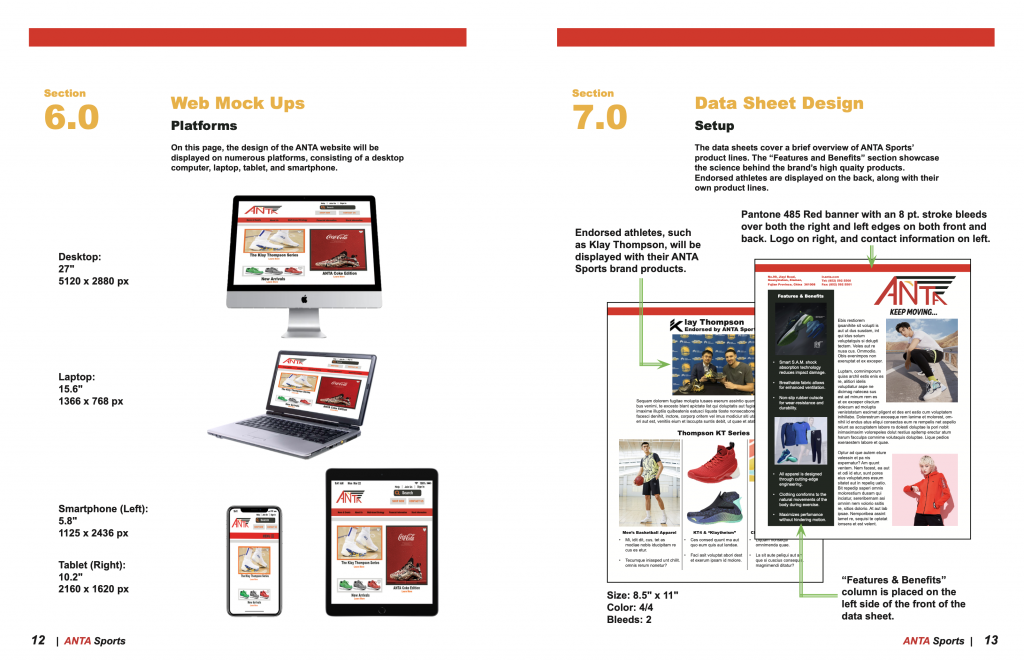 Web Mock Ups and Data Sheet Design